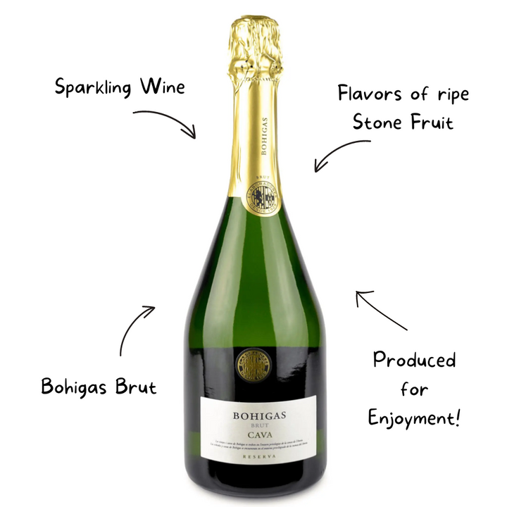 Bohigas Brut Reserva Cava Sparkling Wine